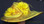 Wavy Brimmed Yellow Ladies Hat, Large Floral Cluster