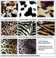 Animal Print Selections Available