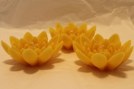 set of three lotus flower.