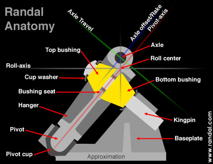 randalanatomy.b.jpg