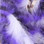 Hareline Tiger Barred Rabbit Strips- 1/4" Magnum Purple Black Over White