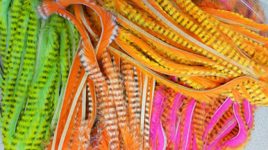 Hareline Tiger Barred Rabbit Strips- 1/4" Magnum (Left to Right- Black Barred Chartreuse Tipped Green Chartreuse, Black Barred White Tipped Hot Orange, Black Barred Hot Orange Tipped Flo. Hot Pink, Black Barred Yellow Tipped Hot Orange)