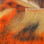 Hareline Tiger Barred Rabbit Strips (Black Orange Over Tan (Cree))