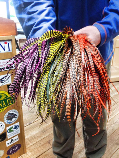 Whiting Farms Big Fly Strung Schlappen