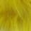 Hareline Finn Raccoon Zonkers (Yellow)