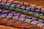 Hareline Lady Amherst Center Tail Feather (Top to Bottom- Shrimp Pink, Baby Blue, Olive, Lavender, Tan and Rusty Brown)