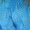 Hareline Strung Silver Pheasant Body Feathers (Kingfisher Blue)