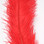 Hareline Ostrich Herl (Red)