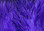 Woolly Bugger Marabou (Purple)