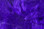 Woolly Bugger Marabou (Bright Purple)