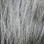 Hareline Deer Belly Hair Dyed Over White (Gray)