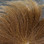 Arctic Fox Tail Hair (Brown)
