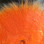 Arctic Fox Tail Hair (Hot Orange)
