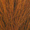 Prime Northern Bucktail (Rust)