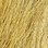 Prime Northern Bucktail (Tan)