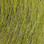 Prime Northern Bucktail (Olive)