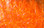 Hareline UV Polar Chenille (Hot Orange)