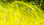 Hareline UV Polar Chenille- Medium & Standard (UV Yellow)