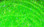 Hareline UV Polar Chenille- Medium & Standard (Chartreuse)