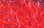 Hareline UV Polar Chenille- Medium & Standard (Red)
