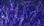 Hareline UV Polar Chenille (Purple)