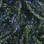 Hareline UV Micro Polar Chenille (UV Dark Gray Olive)