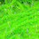 Hareline UV Micro Polar Chenille (UV Chartreuse)