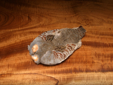 Hungarian Partridge Skins