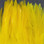 Hareline Dyed Over White Strung Saddle Hackle (Yellow)