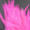Hareline Dyed Over White Strung Saddle Hackle (Hot Pink)