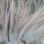 Hareline Dyed Over White Strung Saddle Hackle (Gray)