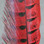 Ringneck Pheasant Tail Feathers (Red)
