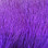 Hareline Deer Body Hair (Purple)