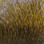 Hareline Deer Body Hair (Dk. Brown)