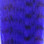 Fishient Group Grizzly Fibre (Royal Blue)