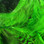 Hareline Mallard Flank Feathers (Bright Green)