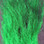 Hareline Calf Tails or Kip Tails (Kelly Green)