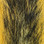 Hareline Gray Squirrel Tail (Fox Squirrel)