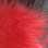 Arctic Fox Body Hair (Red)