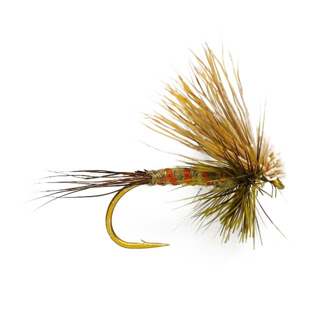 Hairwing Western Green Drake - Casters Fly Shop