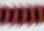 EP Sommerlatte's Grizzly Foxy Brush - 3" Wide Black/Red