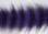 EP Sommerlatte's Grizzly Foxy Brush - 3" Wide Black/Purple