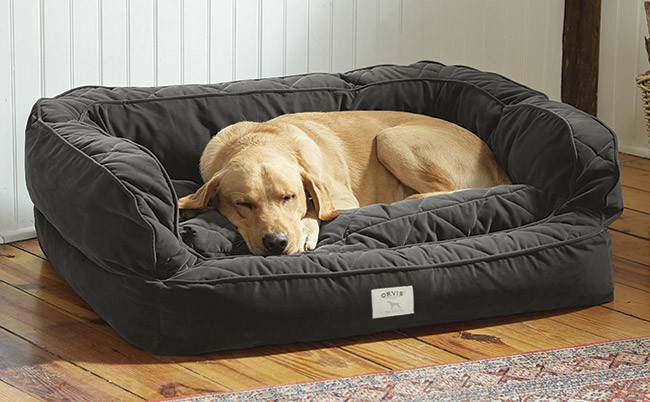 Dog Bed With Bolster Free Standard Us Shipping Orvis Lounger