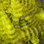 Grizzly Mini Marabou Feathers - Yellow
