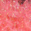 Hareline Cactus Chenille / Shrimp Pink