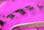 Hareline Black Barred Rabbit Strips (Hot Pink)