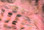 Hareline Black Barred Rabbit Strips- 1/8" (Salmon Pink)
