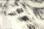 Hareline Black Barred Rabbit Strips- 1/8" (White)