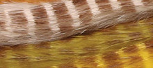 Hareline Brown Barred Rabbit Strips (Top to Bottom- Flesh, Olive, Yellow)