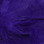 Hareline Intruder Prop Hackle (Bright Purple)